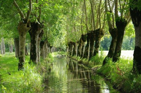 Une Maraichine En Bord De Conche Avec Barque Sans Linge De Maison Arçais Zewnętrze zdjęcie